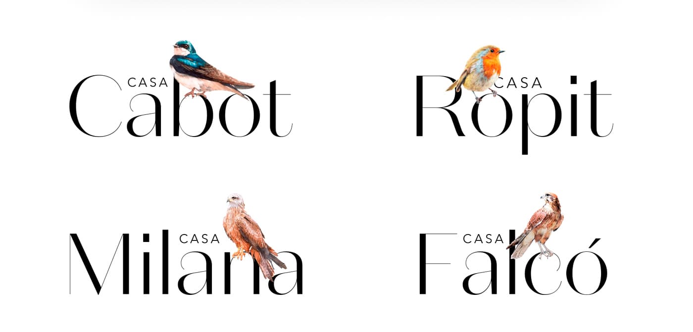 Logotips de les quatre cases, cadascun amb la il·lustració de la seva au: oreneta, pit-roig, milà i falcó