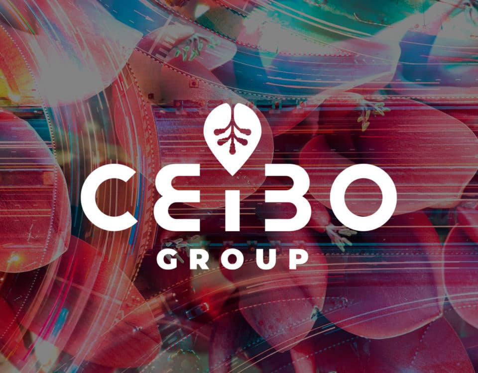 Identitat de Marca per a Ceibo
