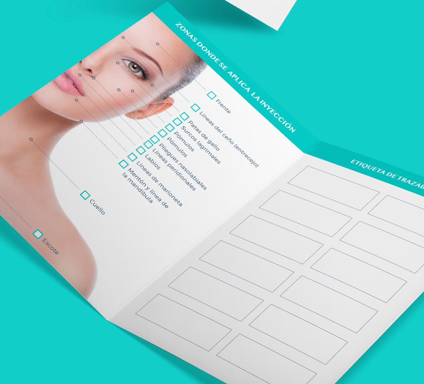 Díptico desplegable con diagrama facial de zonas de tratamiento