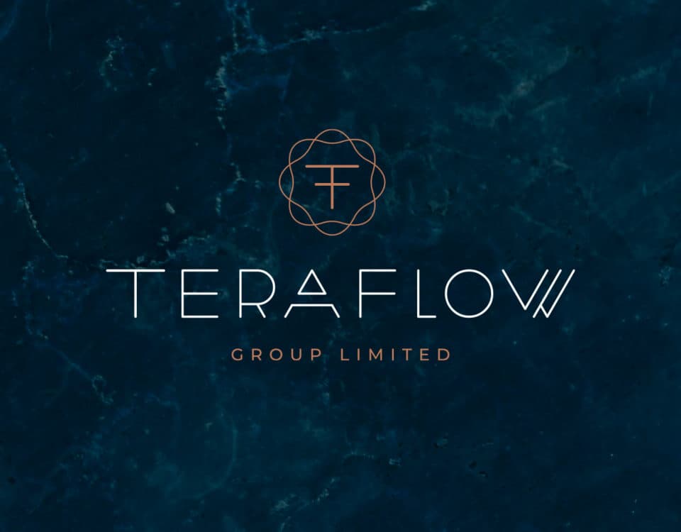Identitat de Marca per a Teraflow Group