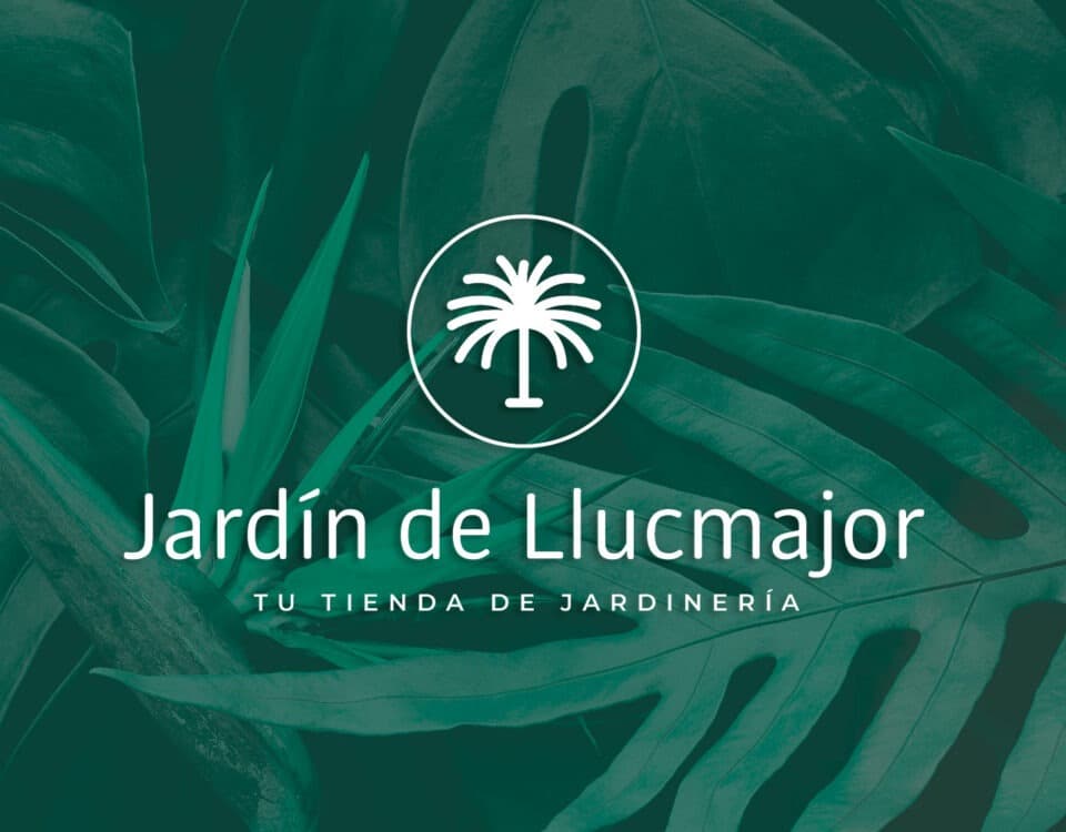 Disseny Web per a Jardín de Llucmajor