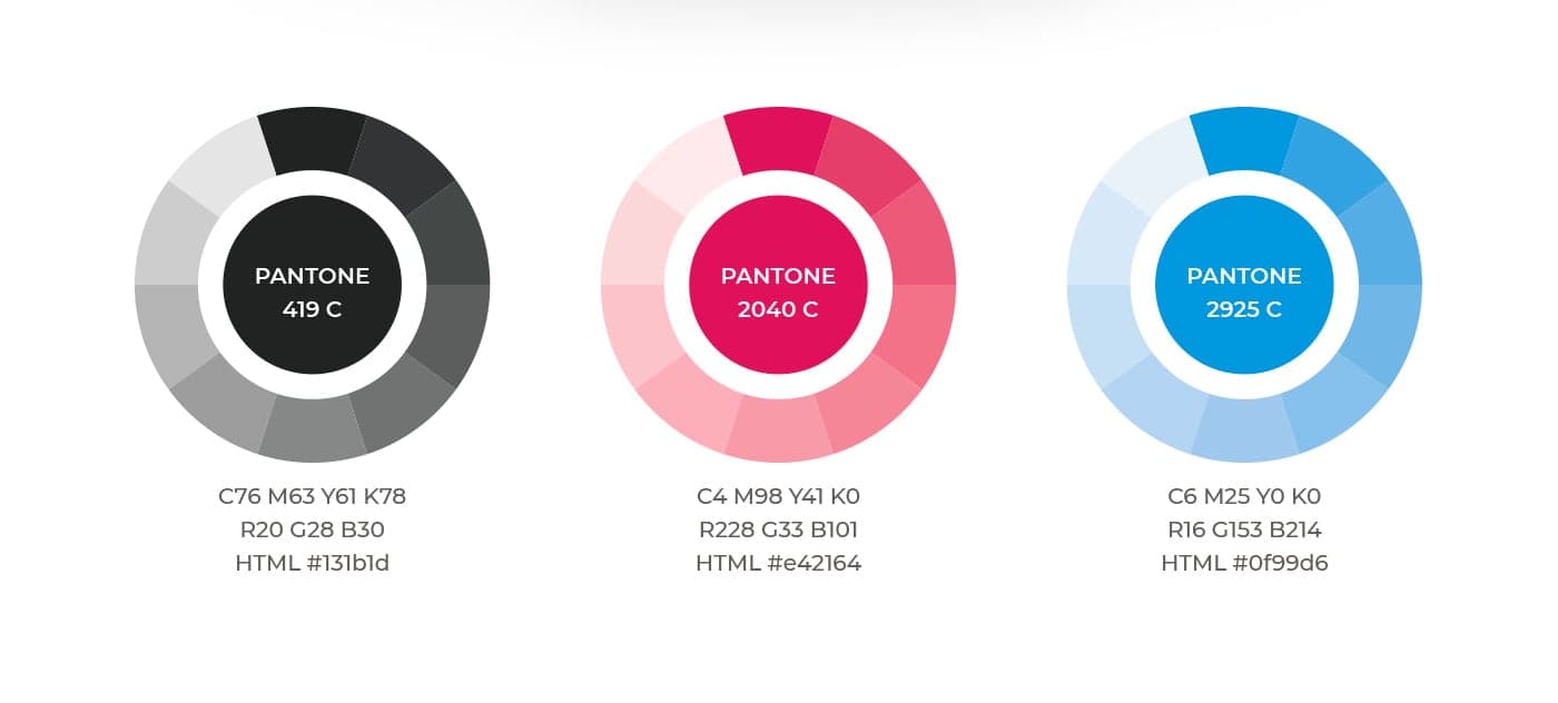 Corporate colour palette in black, neon pink and blue with Pantone codes