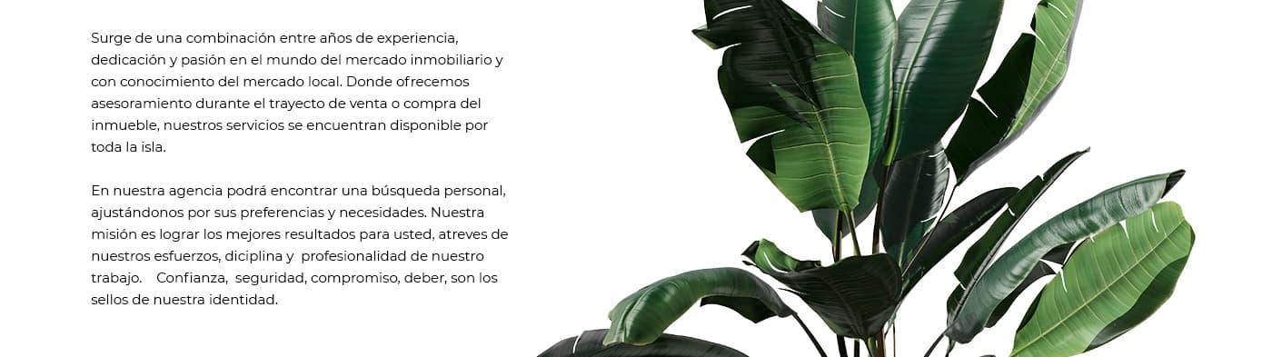 Texto sobre la filosofía de la empresa junto a una hoja de planta tropical
