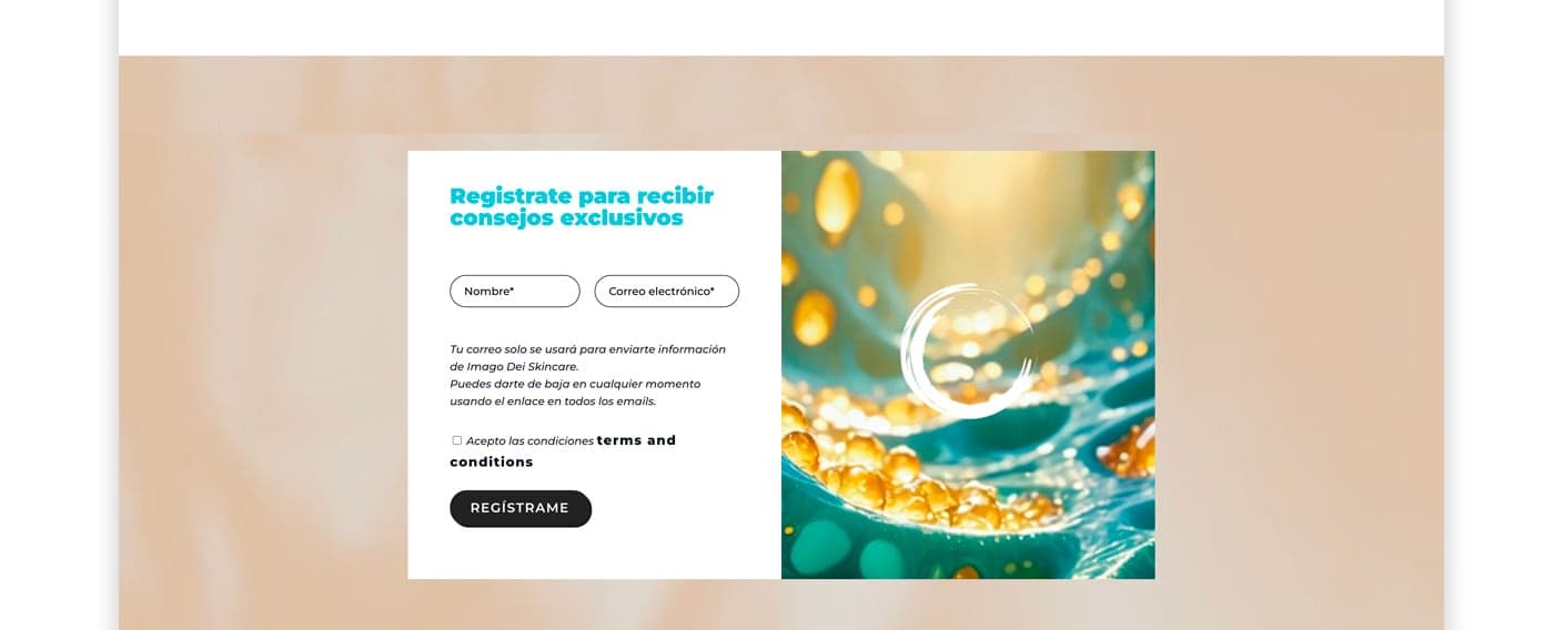 Secció de newsletter amb fons de bombolles daurades i turqueses