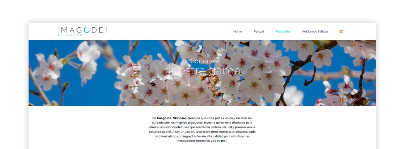 Capçalera de la web amb fotografia de flors de cirerer