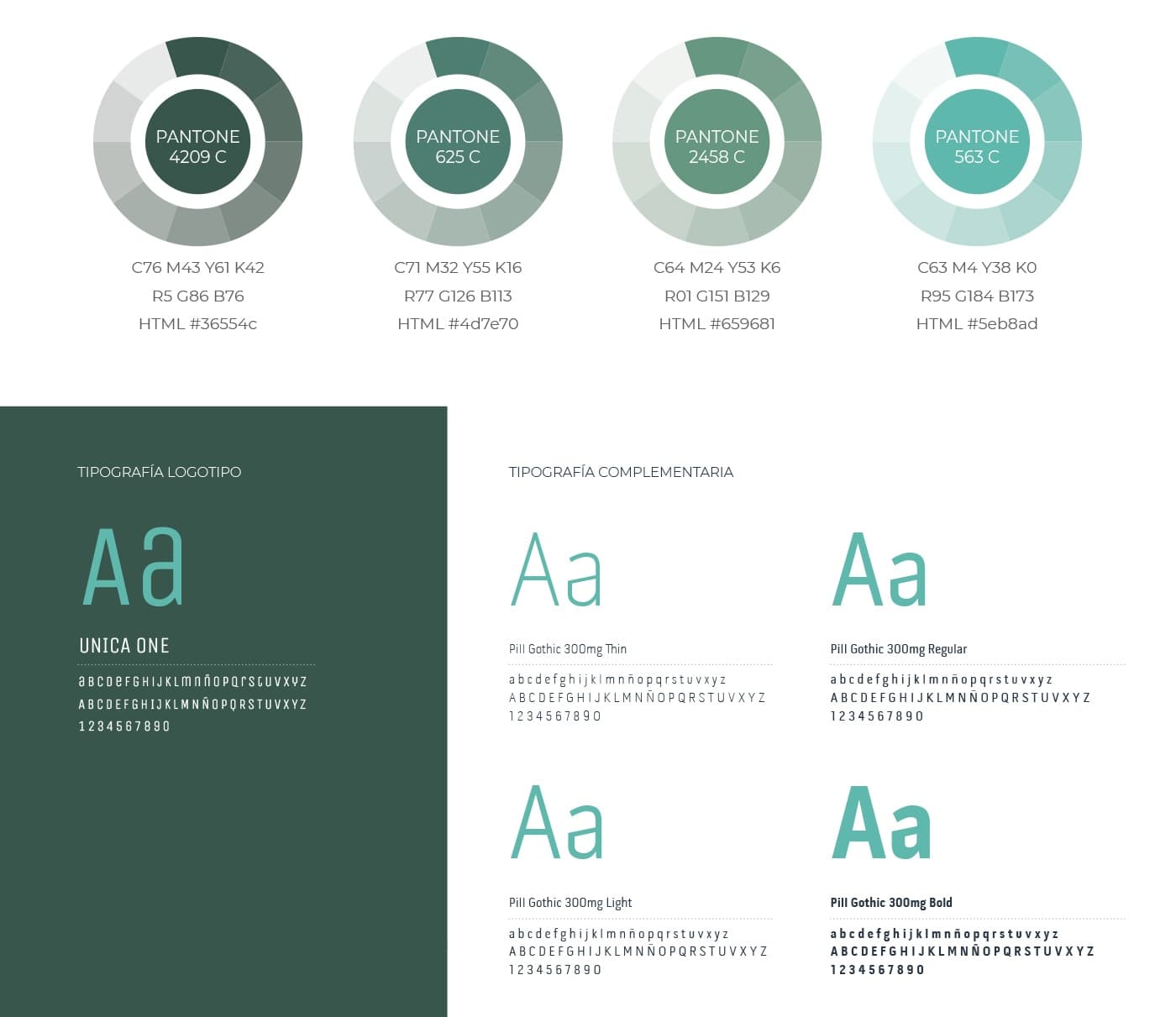 Pantone colour palette in green tones and typefaces from the brand manual