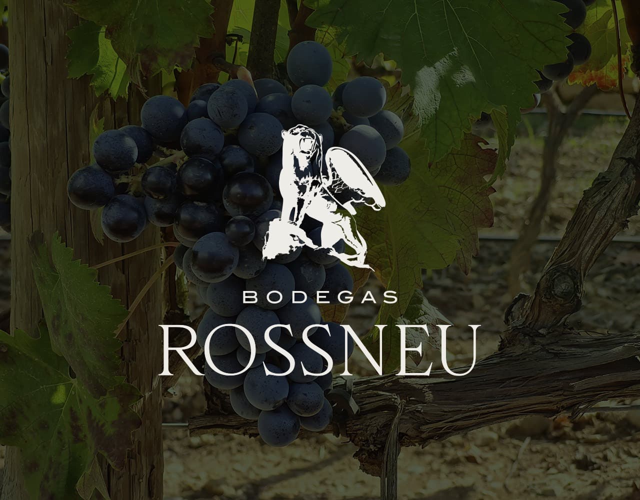 Disseny web per a Bodegas Rossneu, vins ecològics al cor de Mallorca