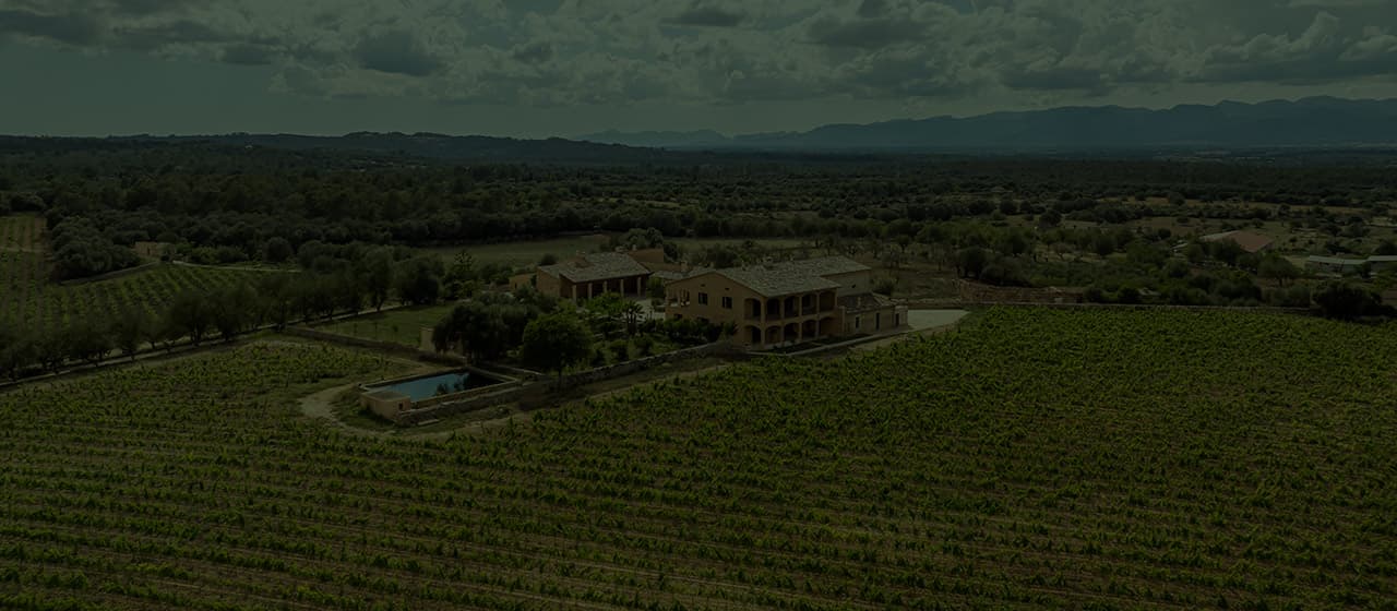 Vi ecològic que neix de la terra de Sineu i respira Mediterrani.