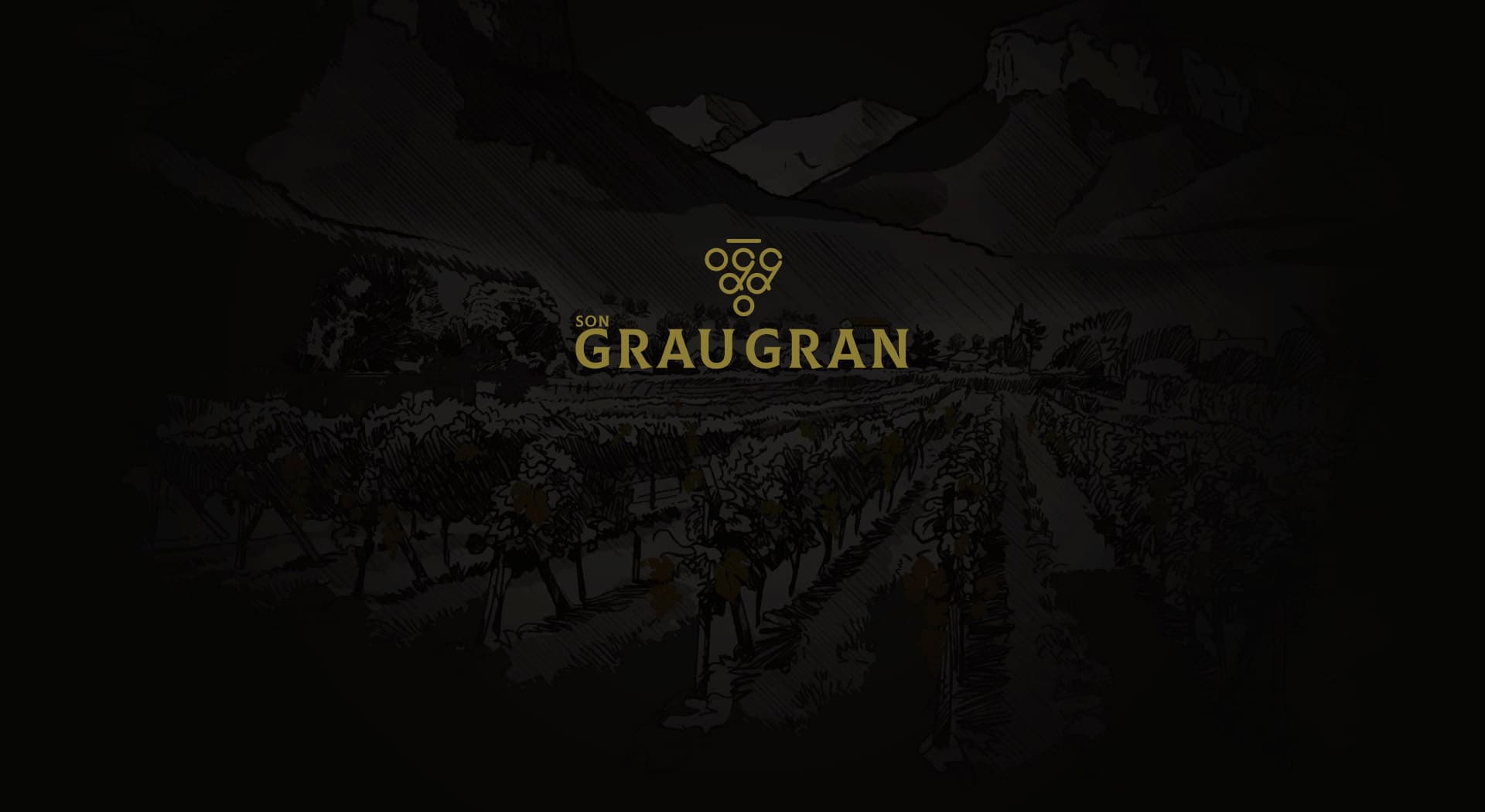 Una web tan cuidada como el vino que presenta.