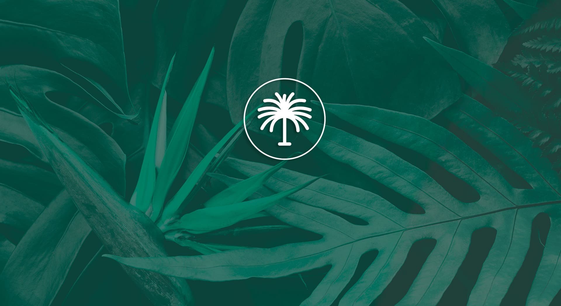Un centre de jardineria amb una web tan viva com els seus propis jardins.