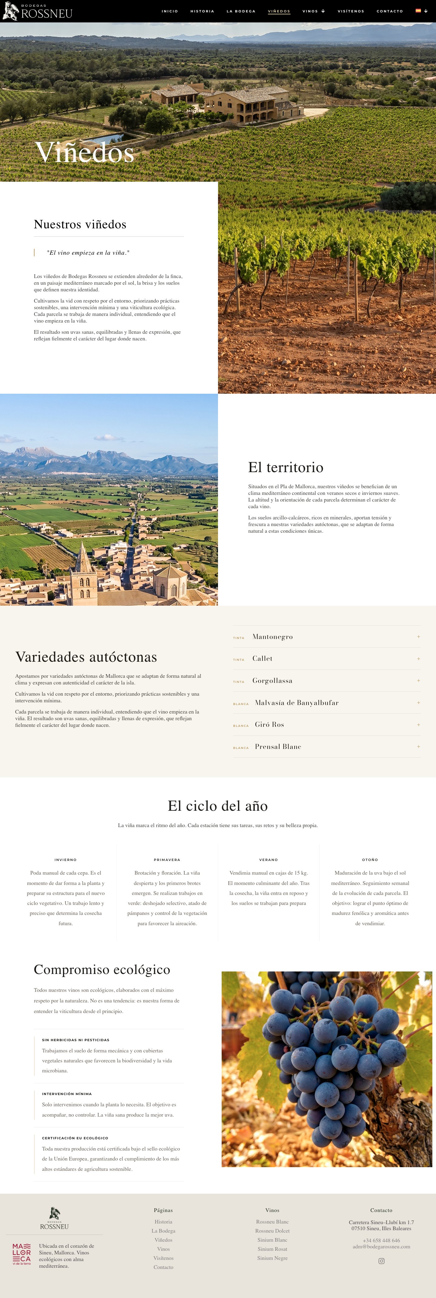 Galería 4